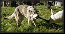 86 Hoest-Herbst-Autumn 07 * 3741 x 1923 * (5.41MB)